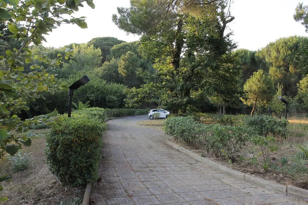 Villa Giulia Piazza Armerina