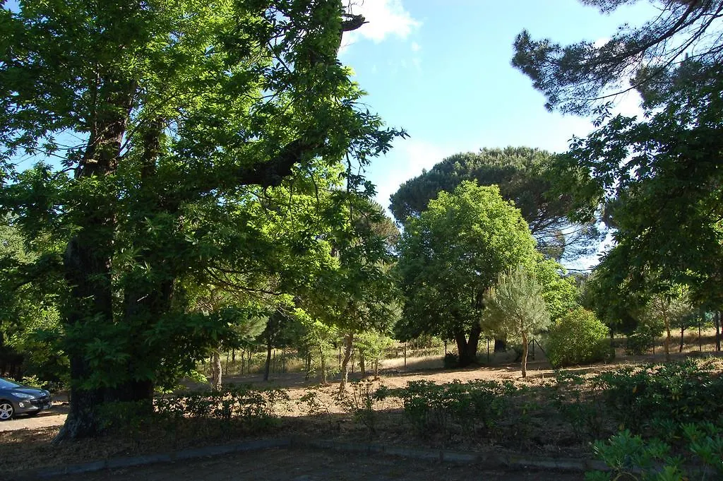 Villa Giulia Piazza Armerina Italy
