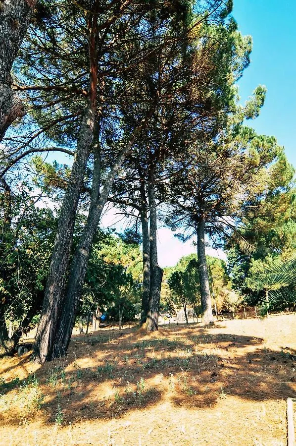Villa Giulia Piazza Armerina 0*,