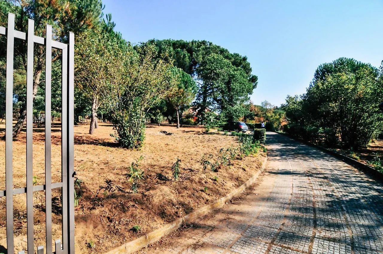 Villa Giulia Piazza Armerina Italy