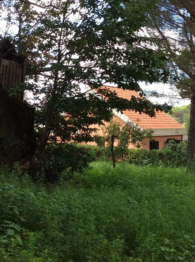 Villa Giulia Piazza Armerina