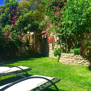 3* Alojamento de Acomodação e Pequeno-almoço Giardino Delle Zagare